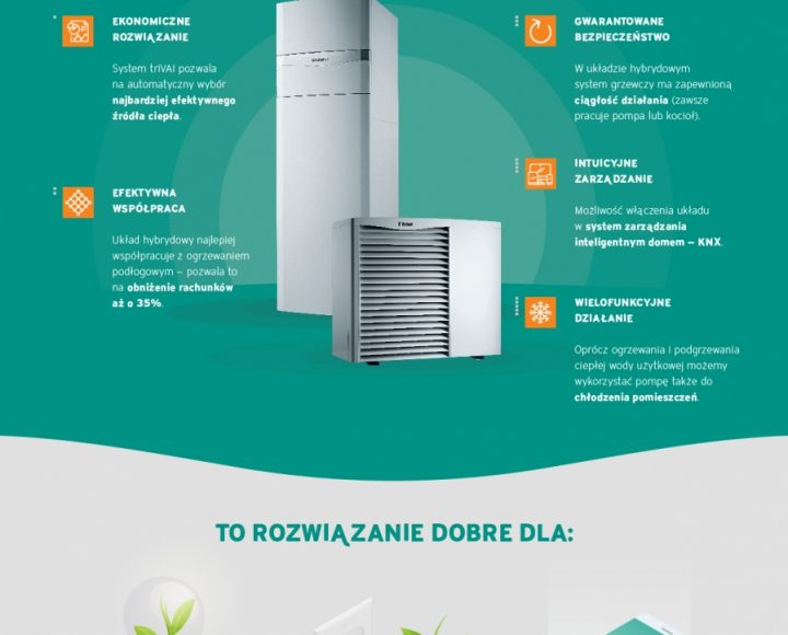 Vaillant infografika