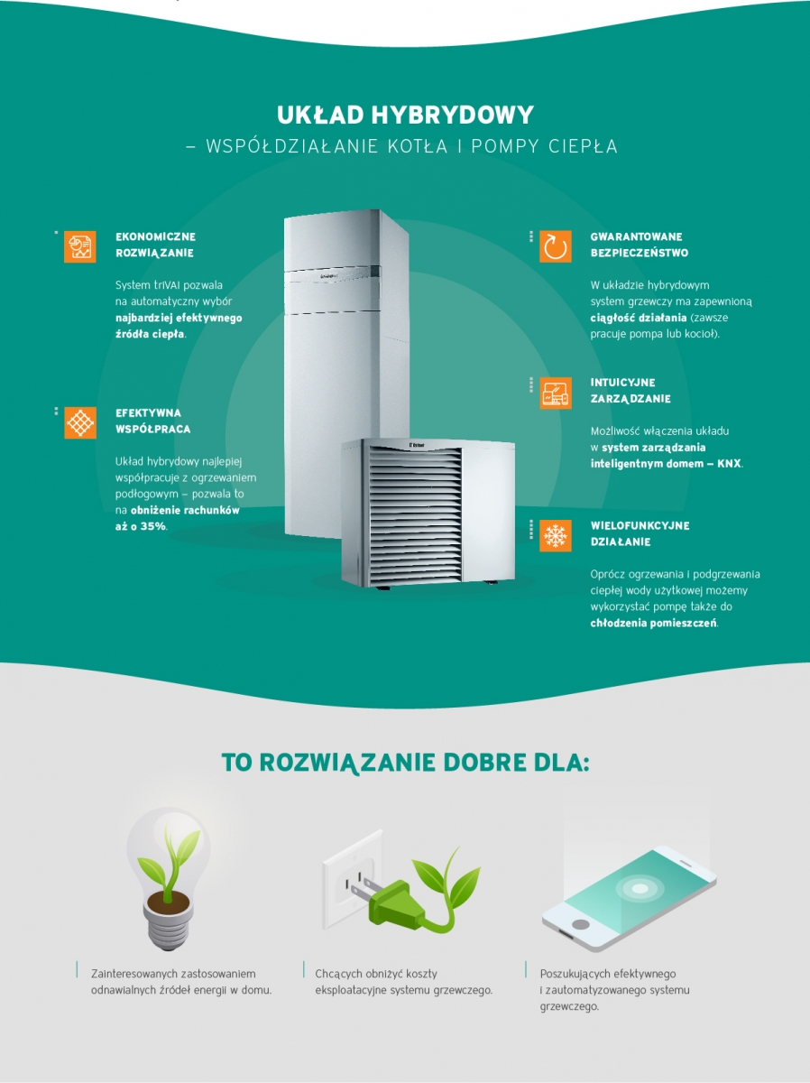 Vaillant infografika